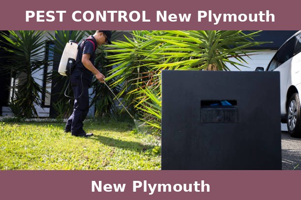 PEST CONTROL New Plymouth